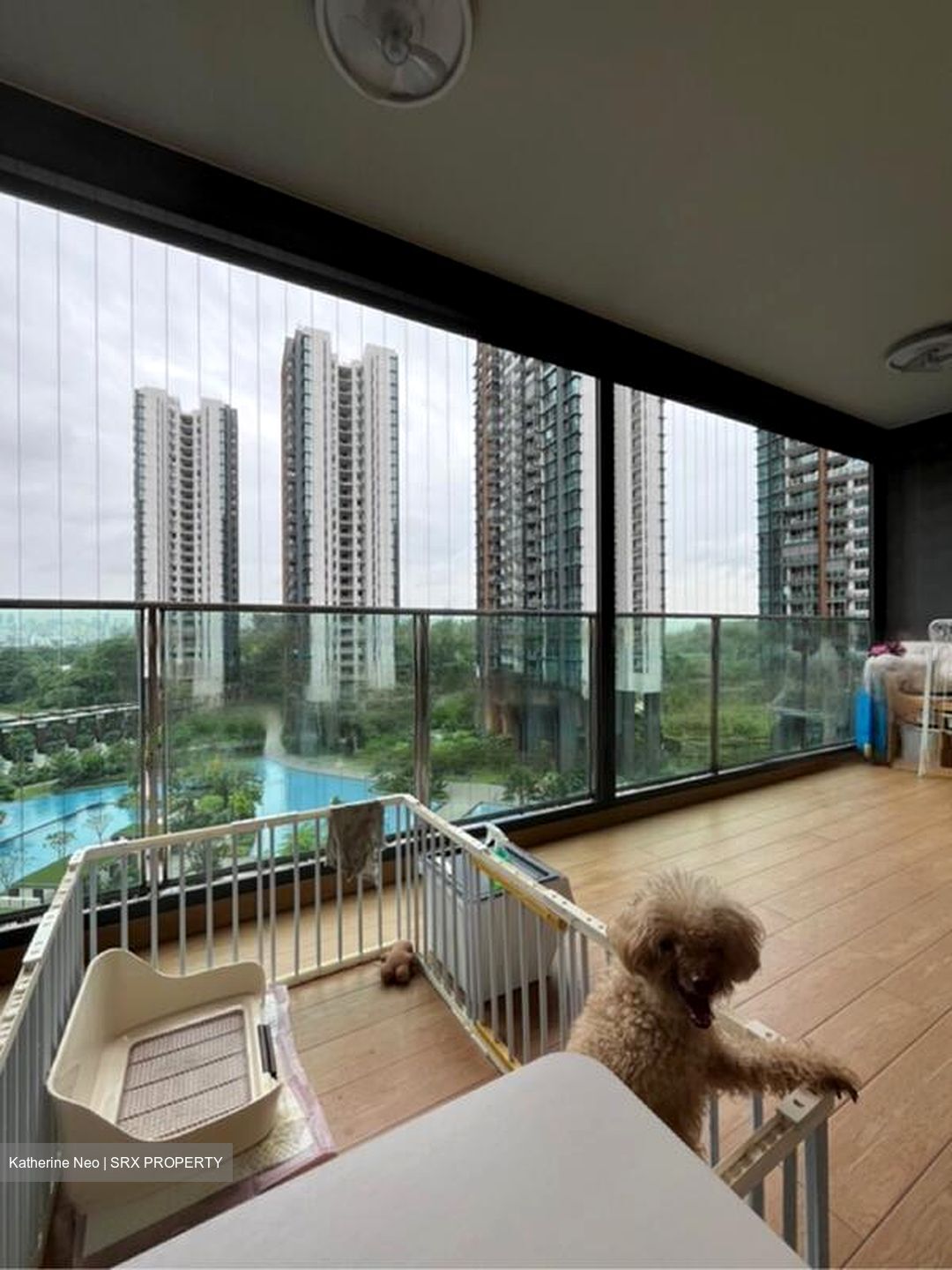 Normanton Park (D5), Apartment #550384441
